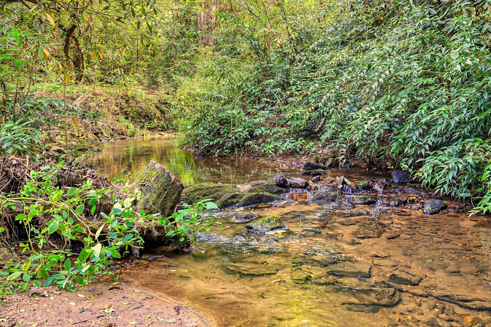 הוילה הלן Laurel Creek מראה חיצוני תמונה